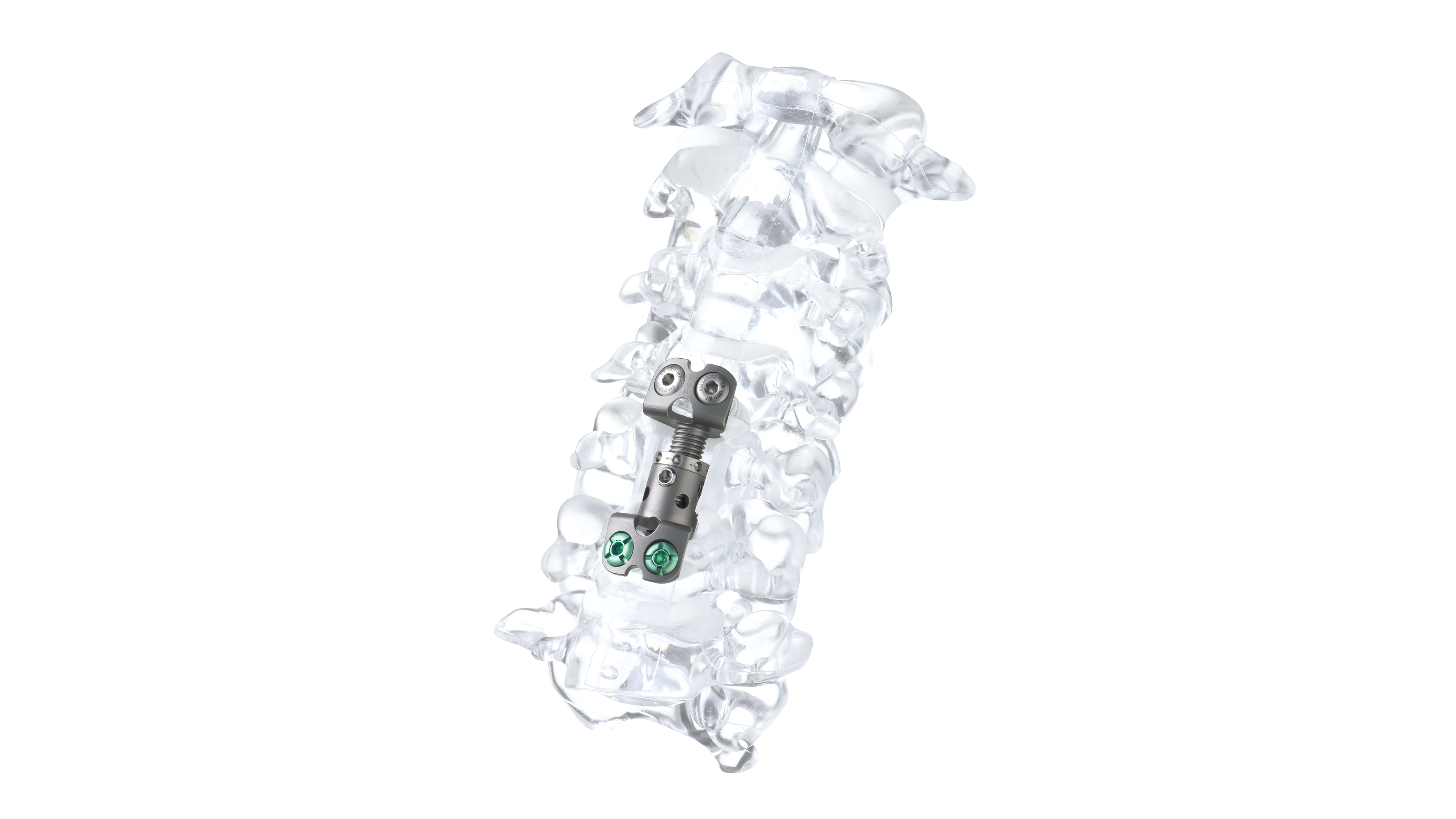 back contact contact form contact person order