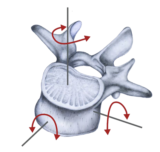 © Ulrich Medical. Todos los derechos reservados. Queda prohibido el uso, la reproducción o la distribución sin autorización expresa.