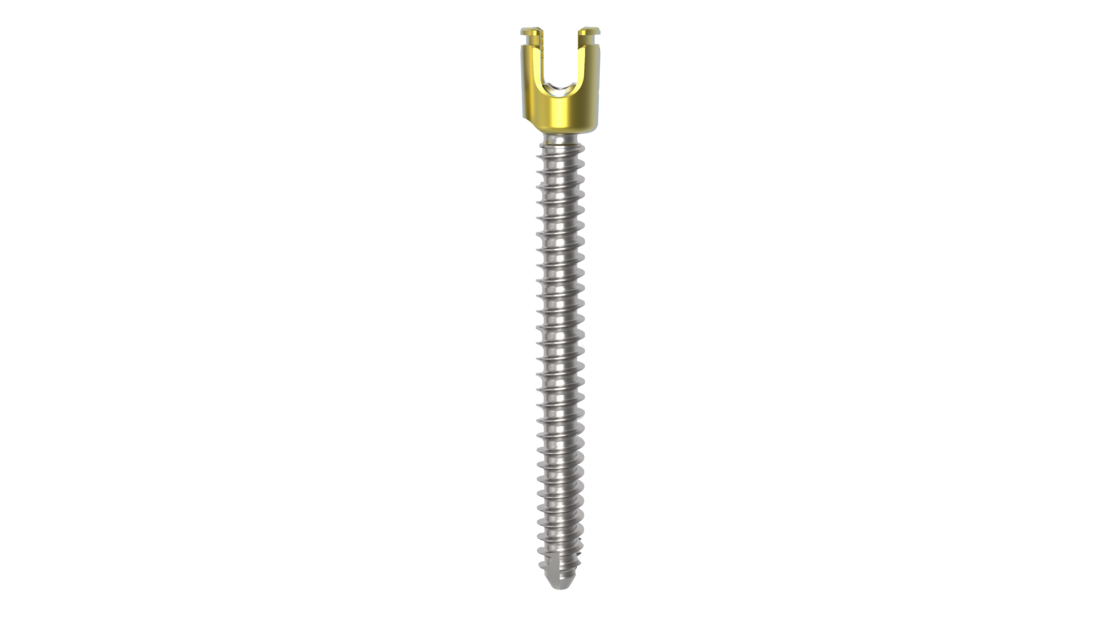 © 2025 ulrich medical. Alle Rechte vorbehalten. Die Verwendung, Vervielfältigung oder Weitergabe ohne ausdrückliche Genehmigung ist nicht gestattet.