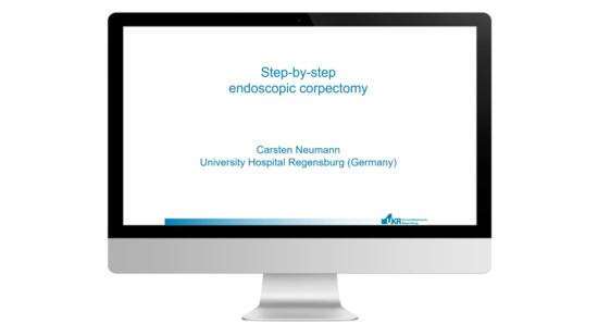 © 2025 ulrich medical. Alle Rechte vorbehalten. Die Verwendung, Vervielfältigung oder Weitergabe ohne ausdrückliche Genehmigung ist nicht gestattet.