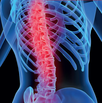 © ulrich medical. All rights reserved. Use, reproduction or transfer without express authorization is not permitted.